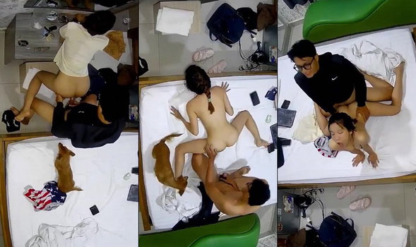 Em nữ sinh mang theo cả chó đi học nhóm với bạn trong nhà nghỉ
